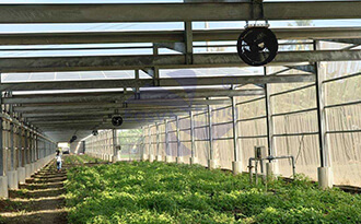 屏東溫室使用AC增壓扇解決悶熱問題