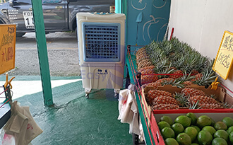 鐵皮屋水果店室溫降了3度