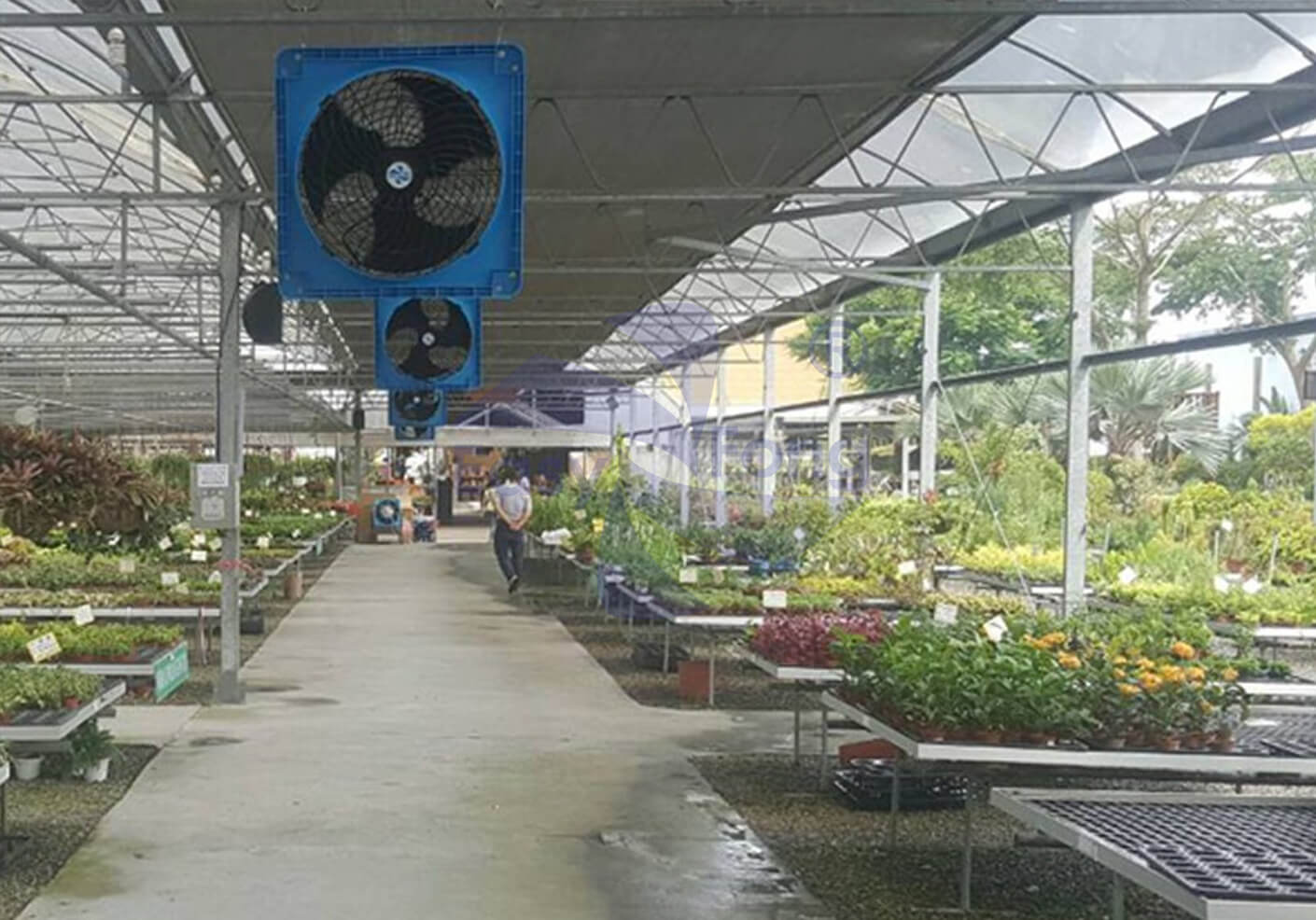 控制溫室內的濕度