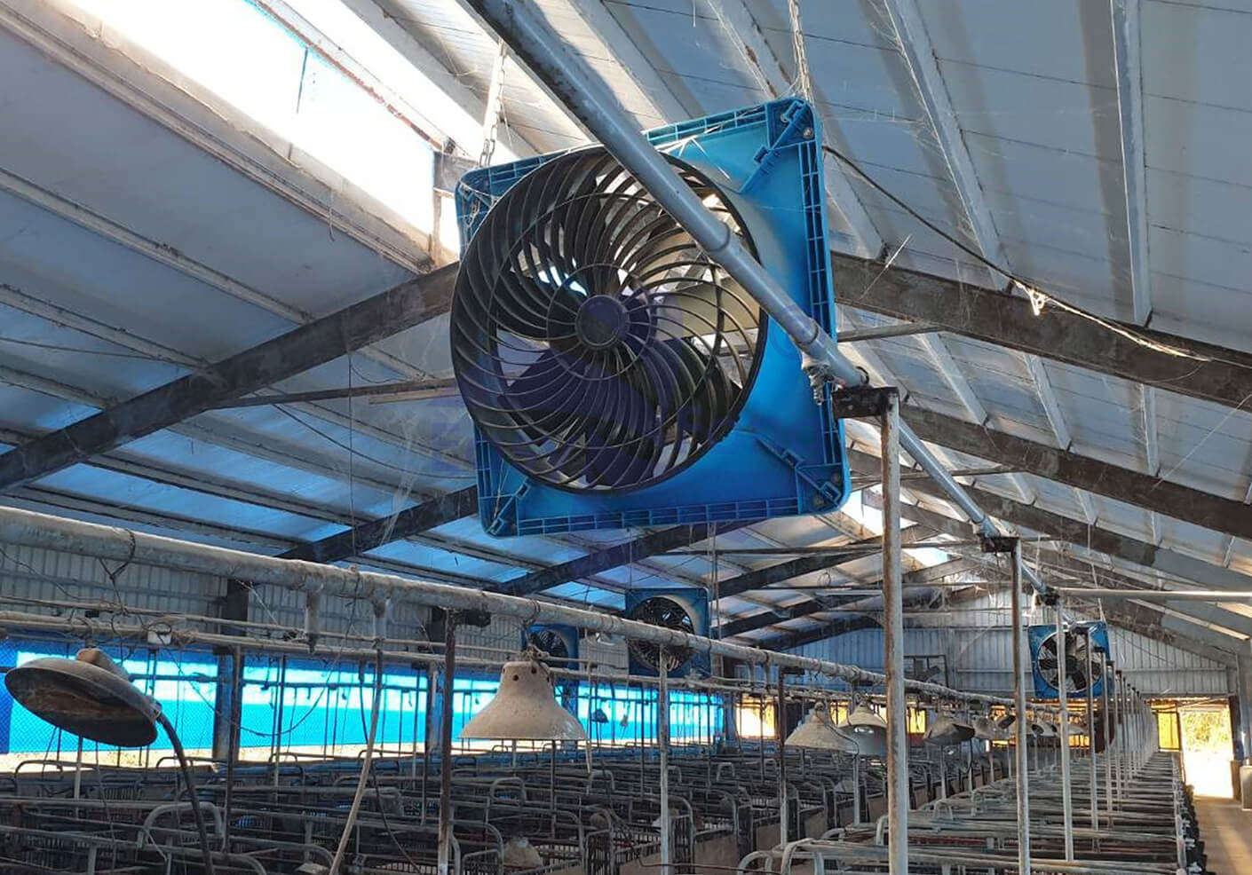 畜牧場的通風控制