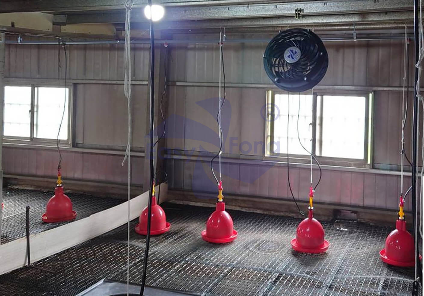 畜禽舍的通風換氣