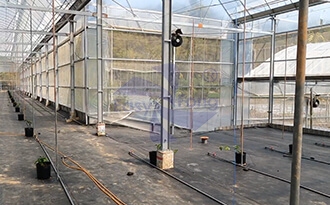 溫室百香果栽培風扇運用