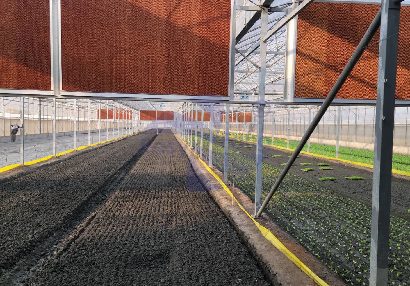 溫室的溫度有效降溫