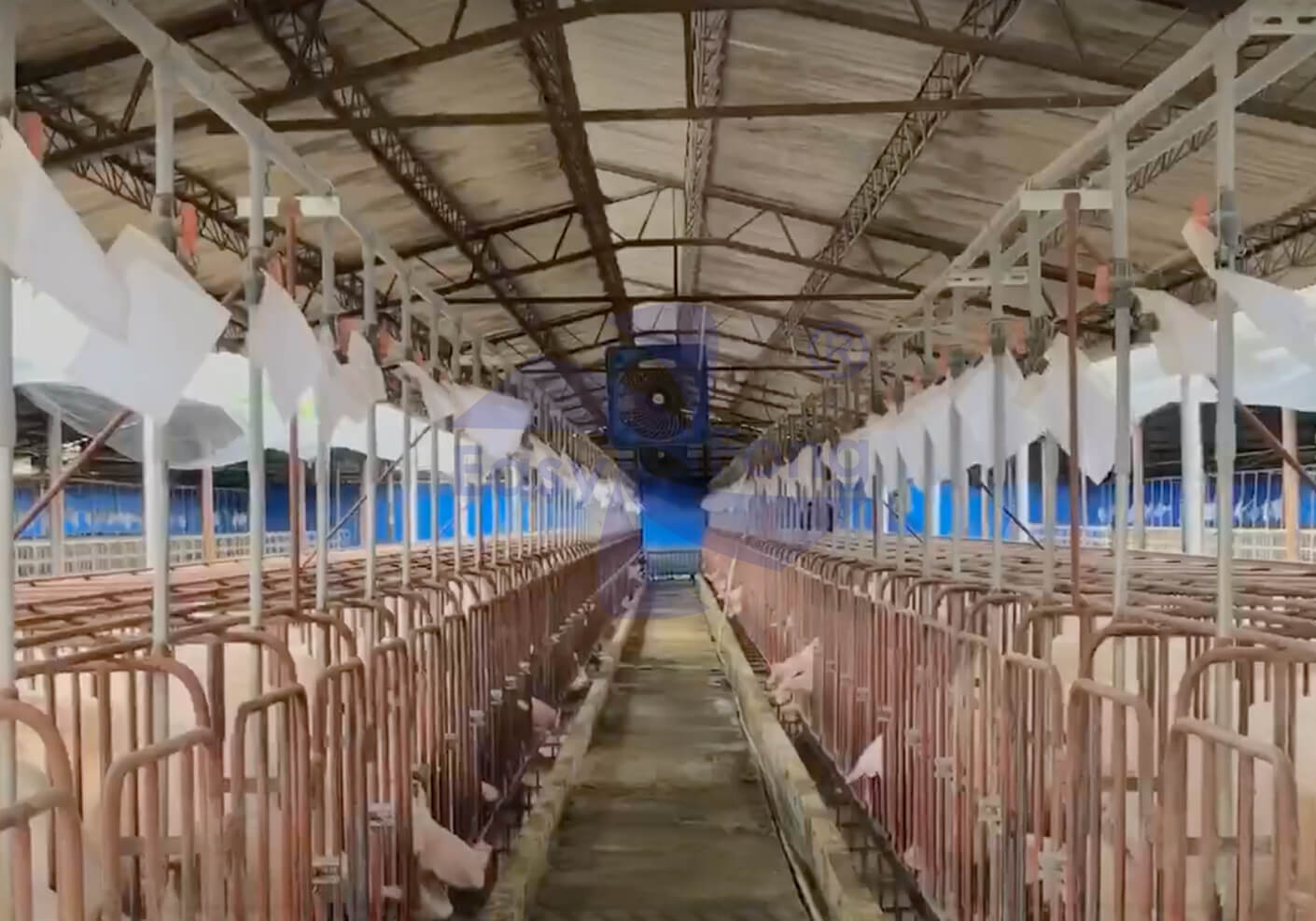 改善畜舍悶熱與空氣品質